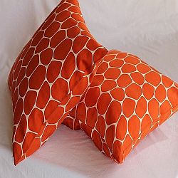 Throw Pillows For You Living Rooms, Dens and Bedrooms
