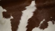 24" x 36" Brown And White Genuine Calfskin - Area Rug