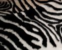 2' x 3' Faux Zebra Hide Black And White Area Rug