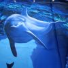 Dolphin Aquatic Waterproof Bathroom Shower Curtain *Free Shipping*