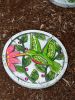 Green Hummingbird Garden Stepping Stone