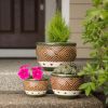 Jade Planters Trio