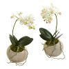 9â€ Mini Orchid Phalaenopsis Artificial Arrangement in Stone Vase (Set of 2)