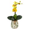 18” Mini Orchid Phalaenopsis Artificial Arrangement in Floral Vase