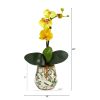 18â€ Mini Orchid Phalaenopsis Artificial Arrangement in Floral Vase