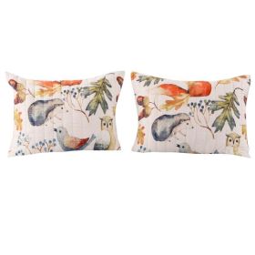 26 x 20 Inches Standard Pillow Sham with Fox and Owl Print, Multicolor *Free Shipping*