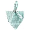 Aqua Seersucker Napkin Set-6