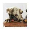 Cute Puppies Welcome Plaque *Free Shipping on orders over $70*