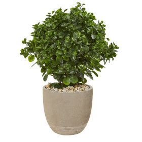 30â€ Peperomia Artificial Plant In Sand Stone Planter UV Resistant (Indoor/Outdoor)