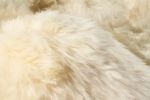 *Click on pic. for Add'l Colors* 24" x 36" x 1.5" Single Genuine Sheepskin - Area Rug