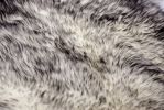 *Click on pic. for Add'l Colors* 24" x 36" x 1.5" Single Genuine Sheepskin - Area Rug