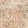 *Click on pic. for Add'l Sizes* Champagne Vintage Abstract Indoor Area Rug