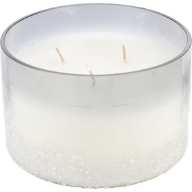 *Click on pic. for Add'l Scents* VALE SOY WAX BLEND SCENTED CANDLE (Scent: Balsam & Birch)