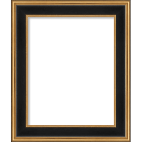 *Click on pic. for Add'l Options* Hudson Collection Picture Frame, Black & Gold 3" Wide, 16x20 (Options: Frame Only)