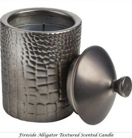*Click on pic. for Add'l Scents* THOMPSON FERRIER CANDLE (Scent: Fireside)