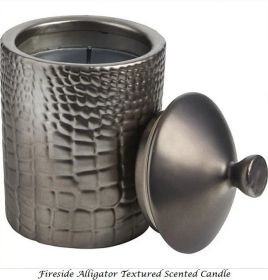 *Click on pic. for Add'l Scents* THOMPSON FERRIER CANDLE (Scent: Fireside)